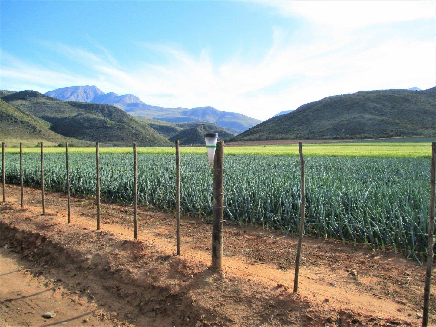 Klein Karoo Property Farm for sale in Klein Karoo