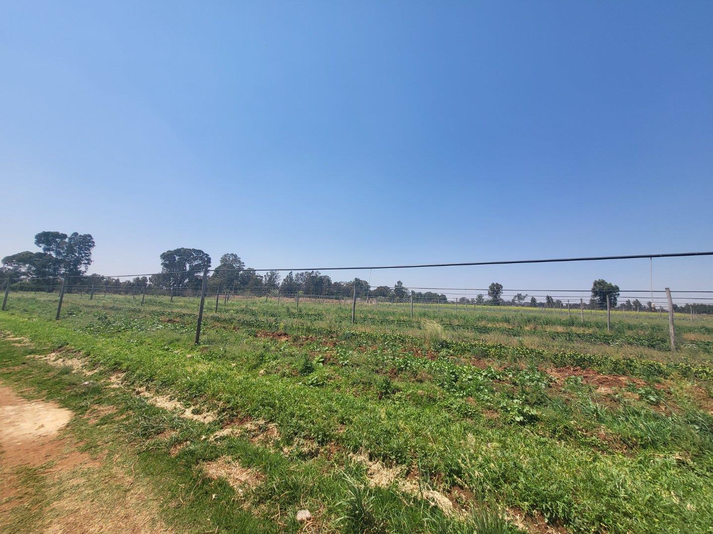 Farm for sale in Riversdale P24111800557