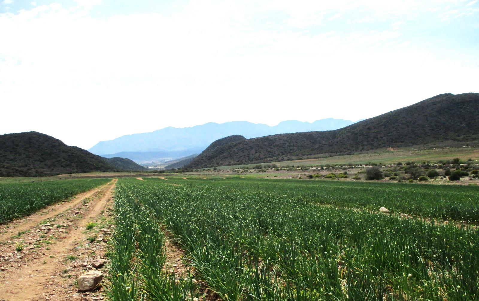 De Rust Property Property and houses for sale in De Rust Property24