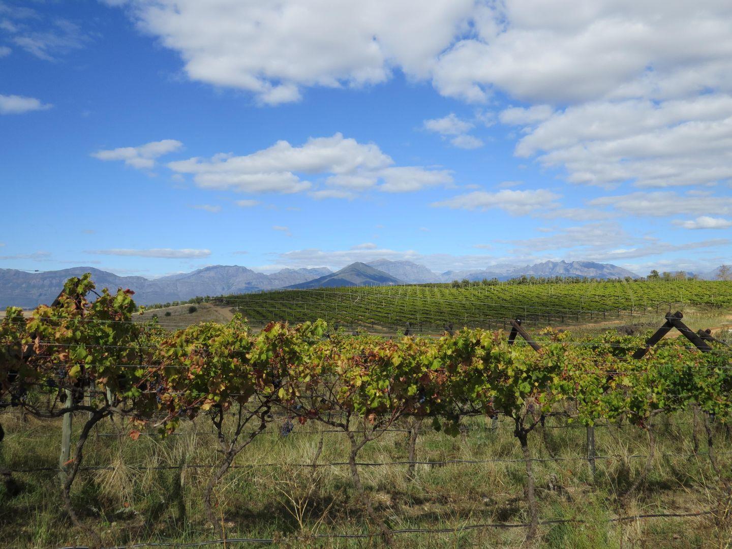 Farm for sale in Wellington Rural P24111212866