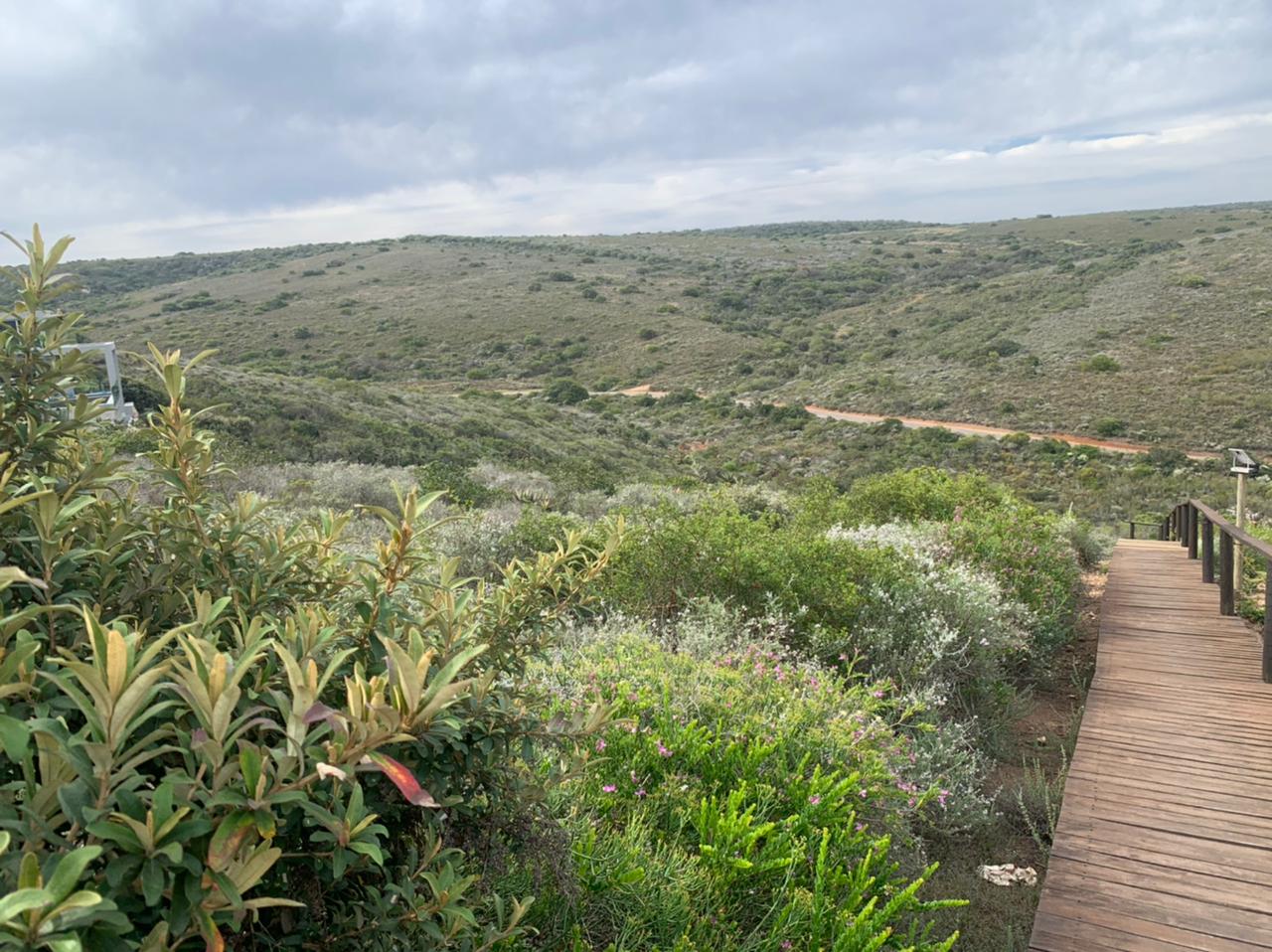 Nautilus Bay Property Property and houses for sale in Nautilus Bay