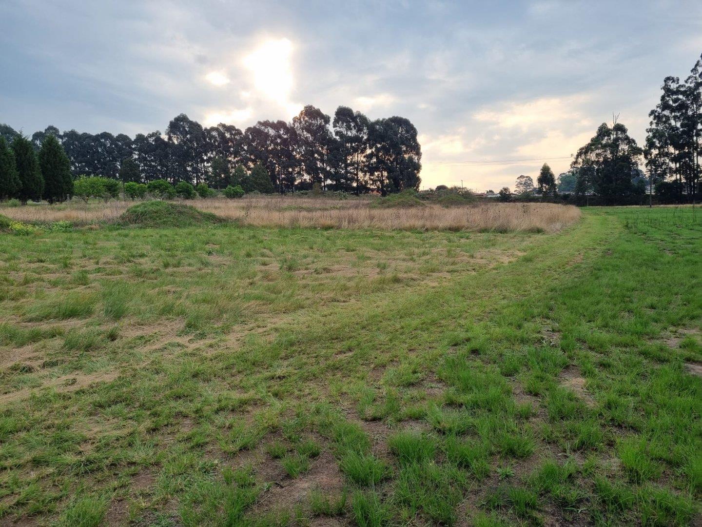 Vacant land / plot for sale in Sakabula Golf & Country Estate P24