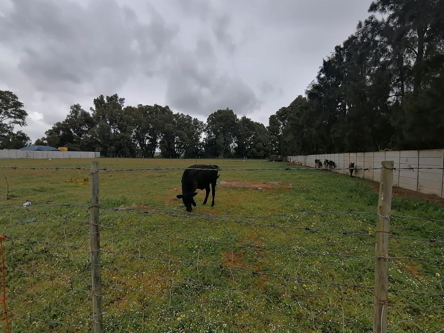 Vacant land / plot for sale in Kalbaskraal P24111818303