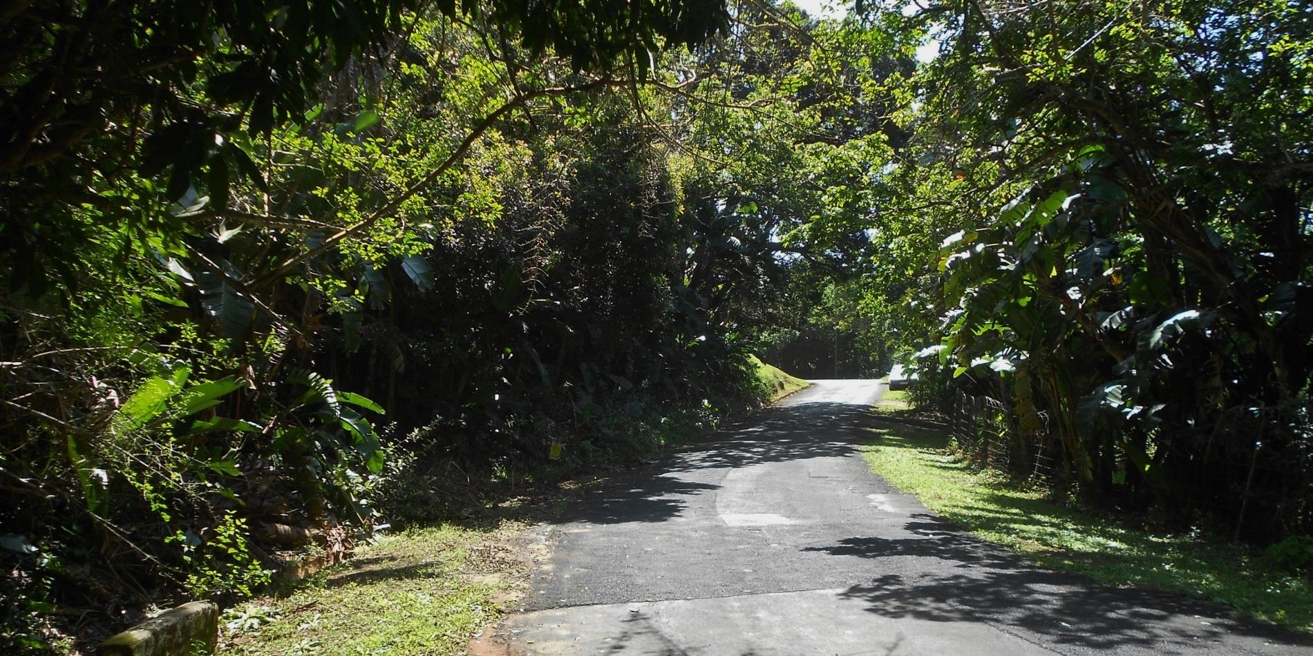 Kzn South Coast Property Houses for sale in Kzn South Coast