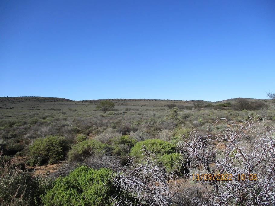 Klein Karoo Property Houses for sale in Klein Karoo Page 36