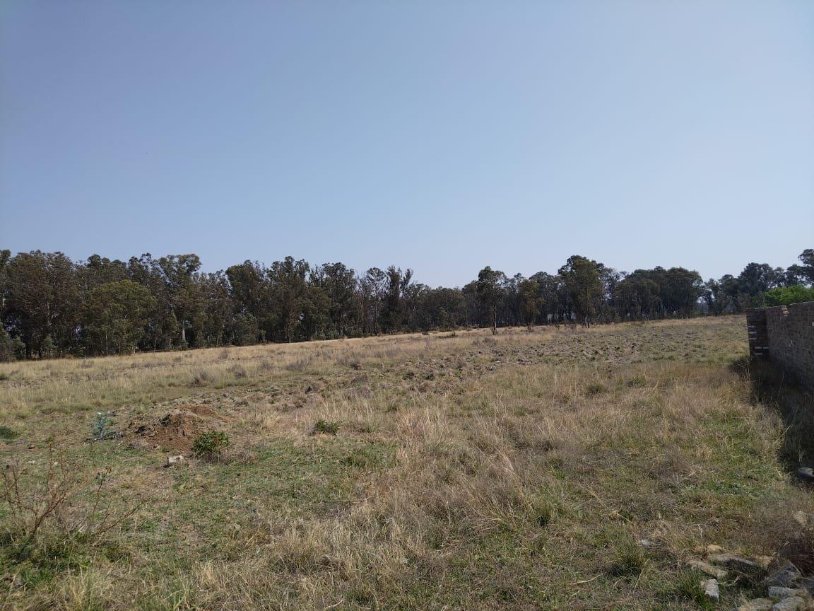 Walker Fruit Farms Property Property and houses for sale in Walker