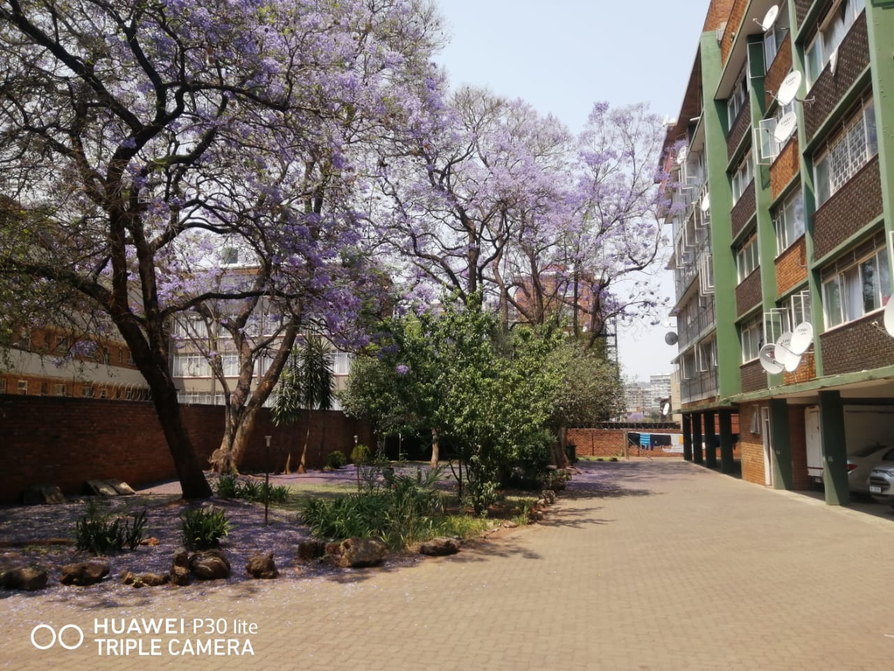 Arcadia, Pretoria Property Property and houses for sale in Arcadia, Pretoria