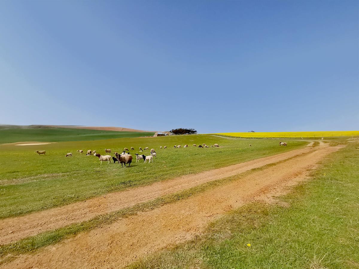 Farms for sale in Stanford Stanford Property Page 2