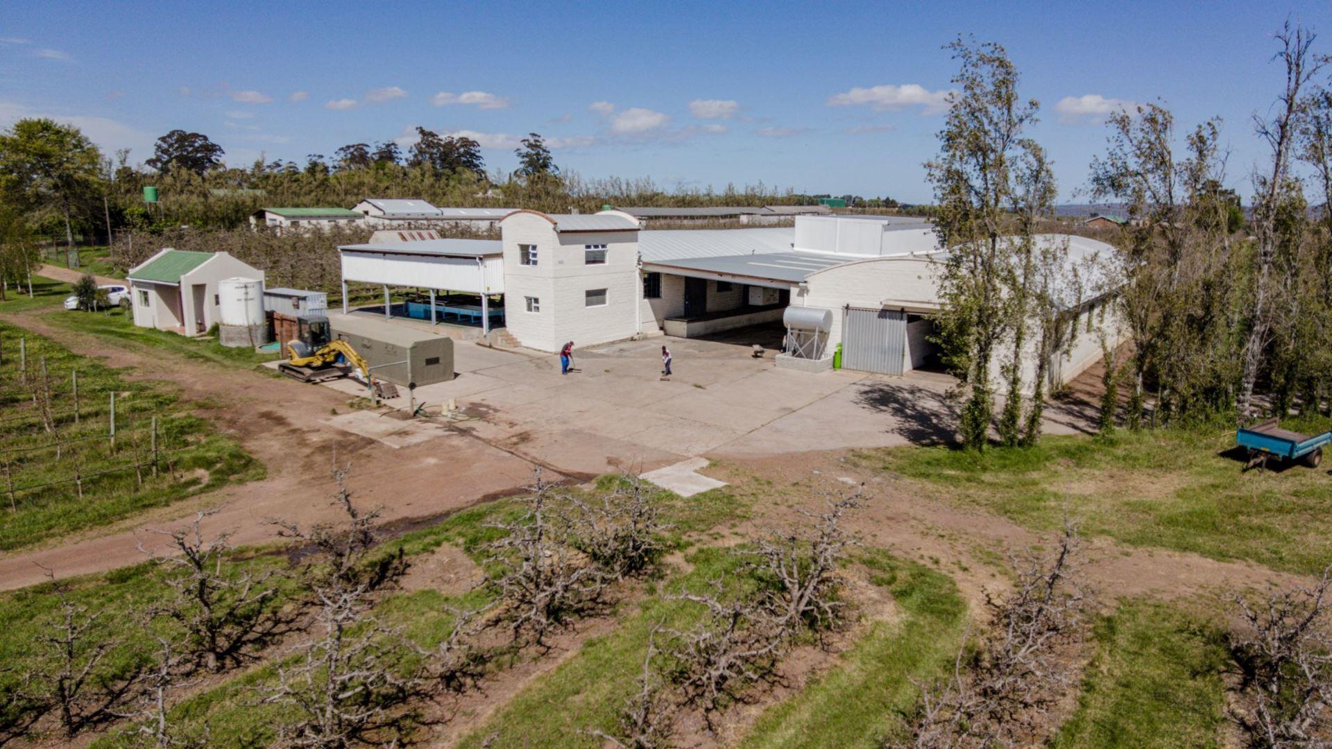 Farm for sale in Elgin Viljoenshoop Road P24111958033