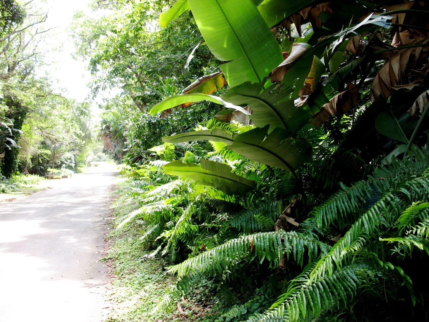 Vacant land / plot for sale in Glenmore 386 Von Baumbach P24111980123