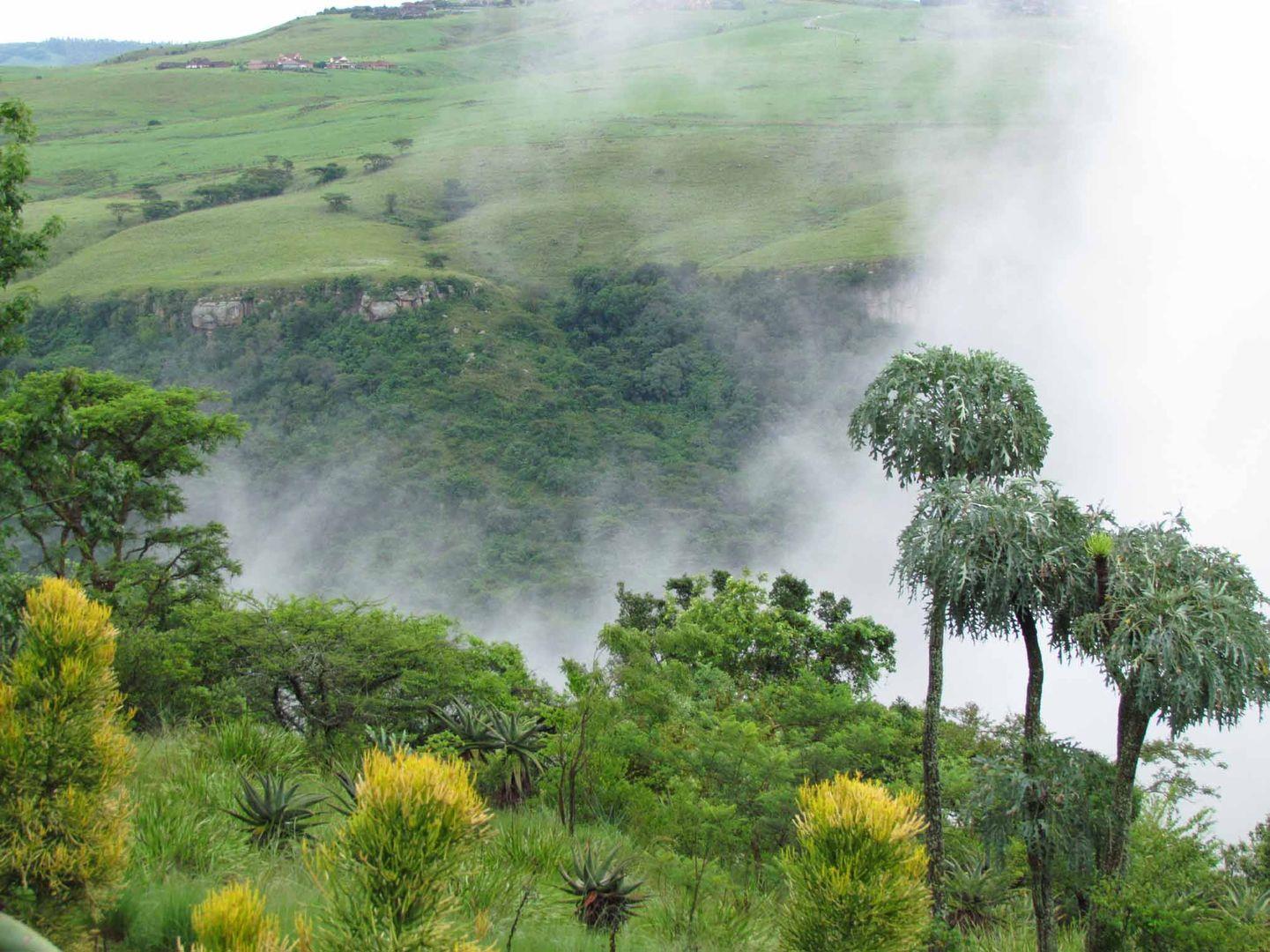 Farm for sale in Hilton Rural P24111984440