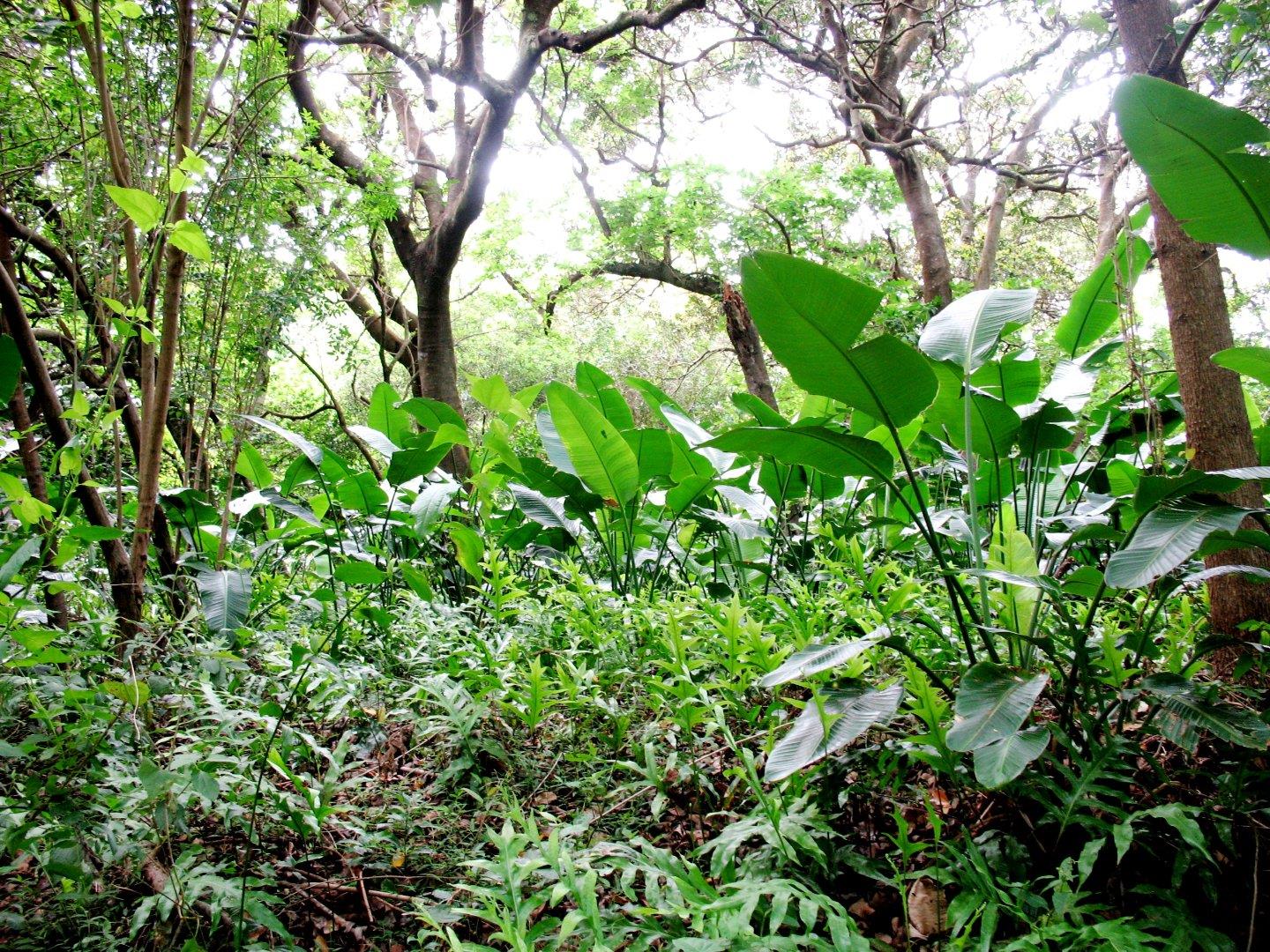 Munster Property Houses for sale in Munster Page 4