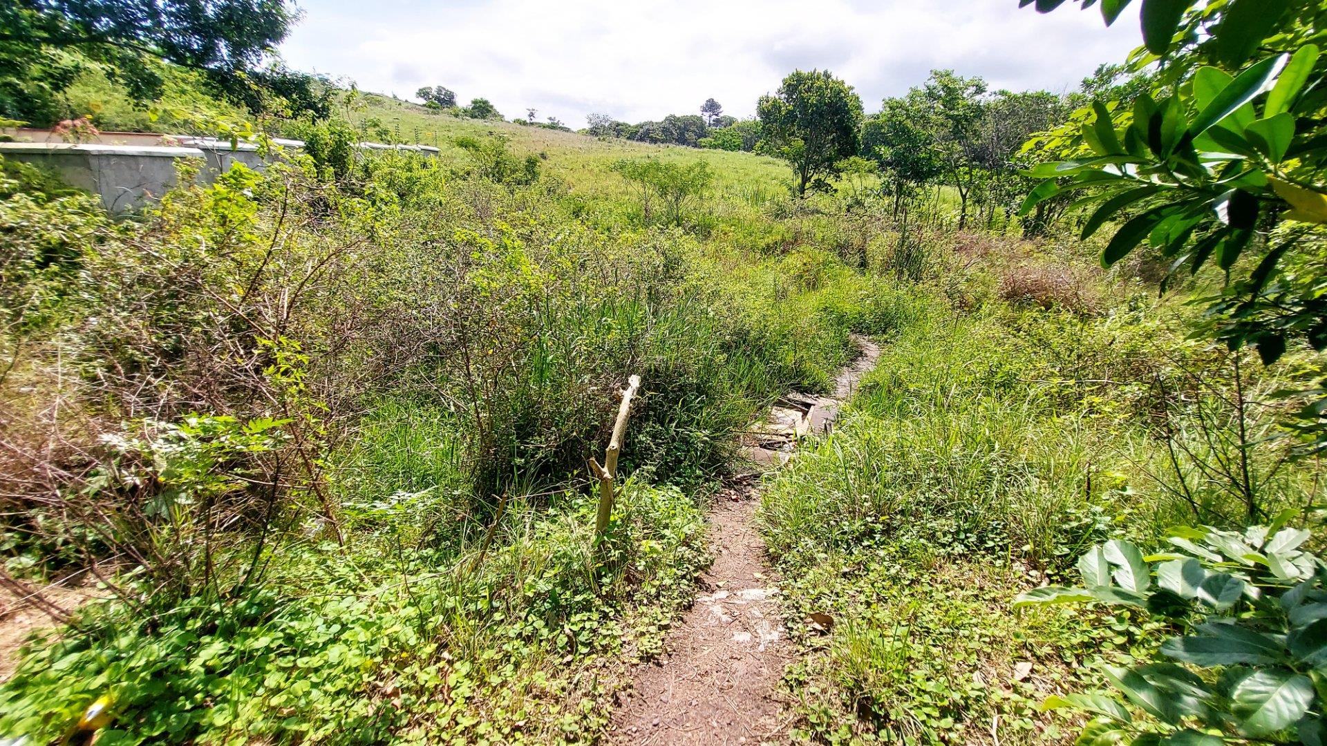 Kzn South Coast Property Vacant land / plot for sale in Kzn South