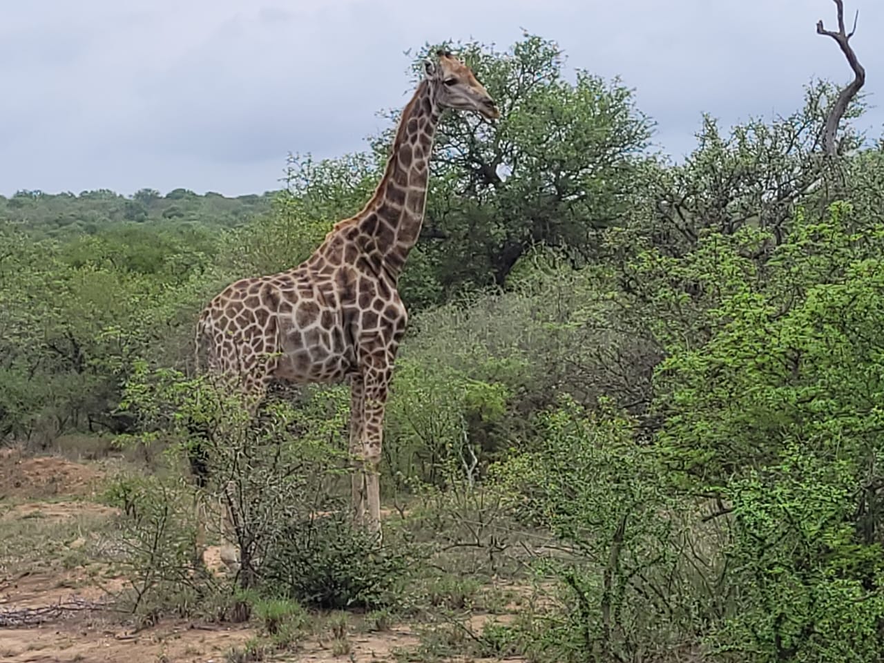 Wild Rivers Nature Reserve Property Property and houses for sale in