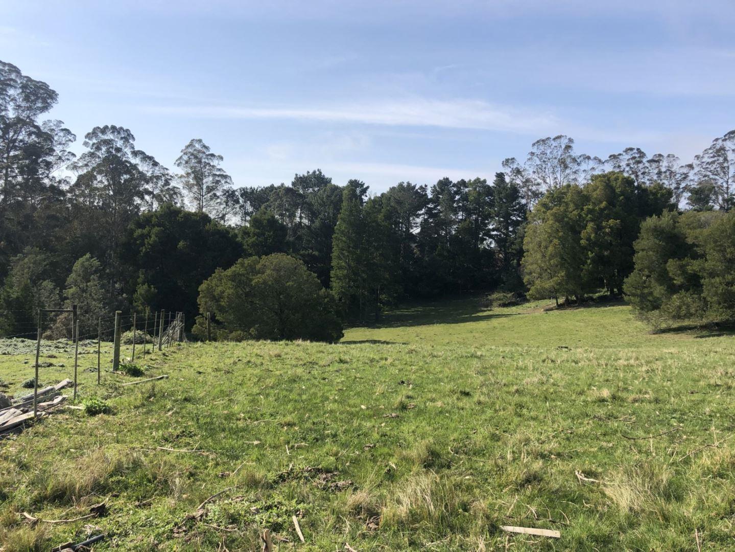 Plettenberg Bay Central Property Property and houses for sale in