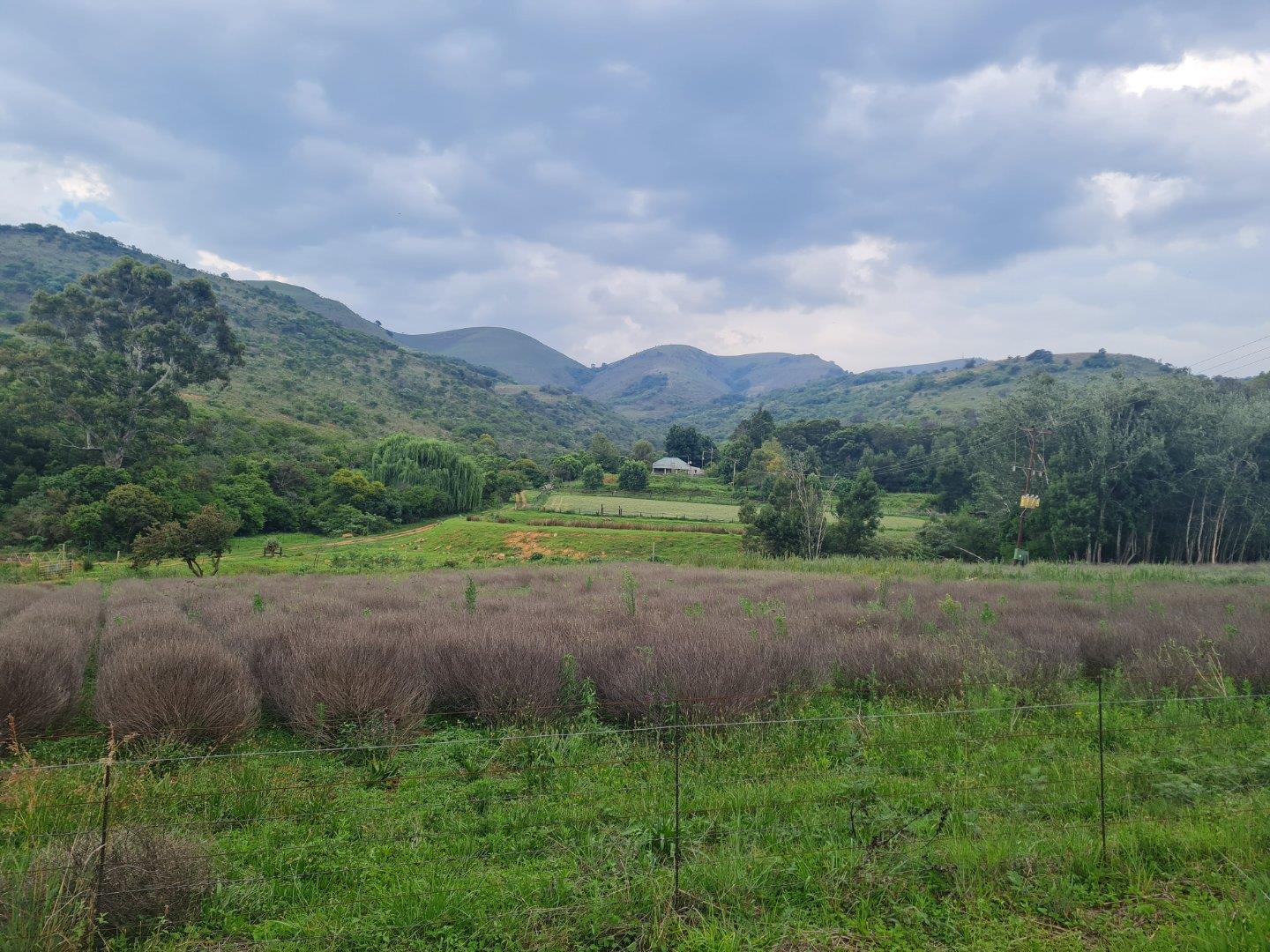 Pilgrims Rest Property Property and houses for sale in Pilgrims Rest