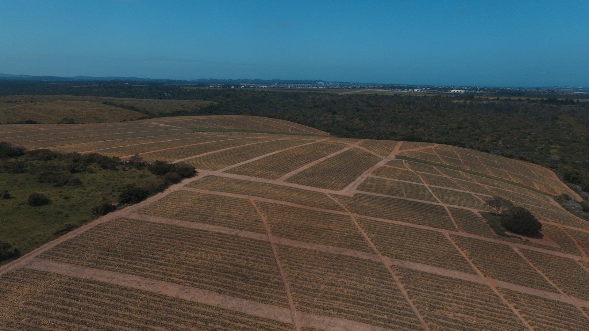 Farm for sale in Bathurst Rural P24112047527