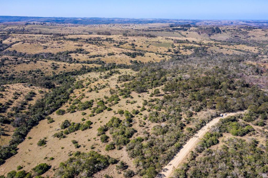 East London Rural Property Property and houses for sale in East