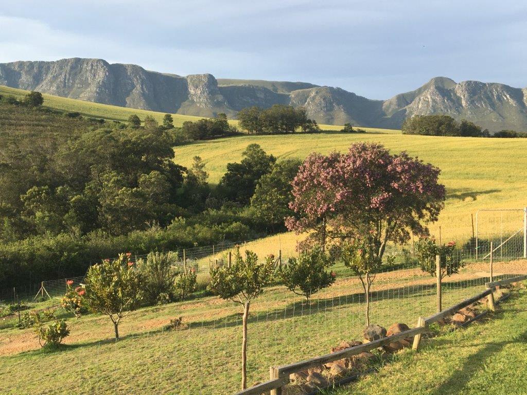 Farm for sale in Riversdale Farm 90 Pnt 6 P24112049863