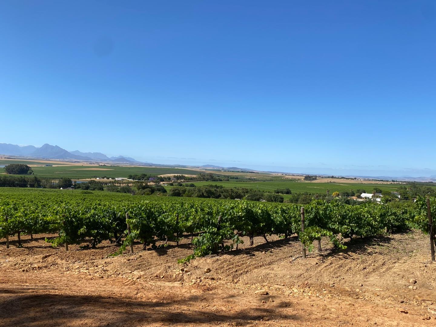 Vacant land / plot for sale in Paarl Rural 39 Paardeberg Mountain