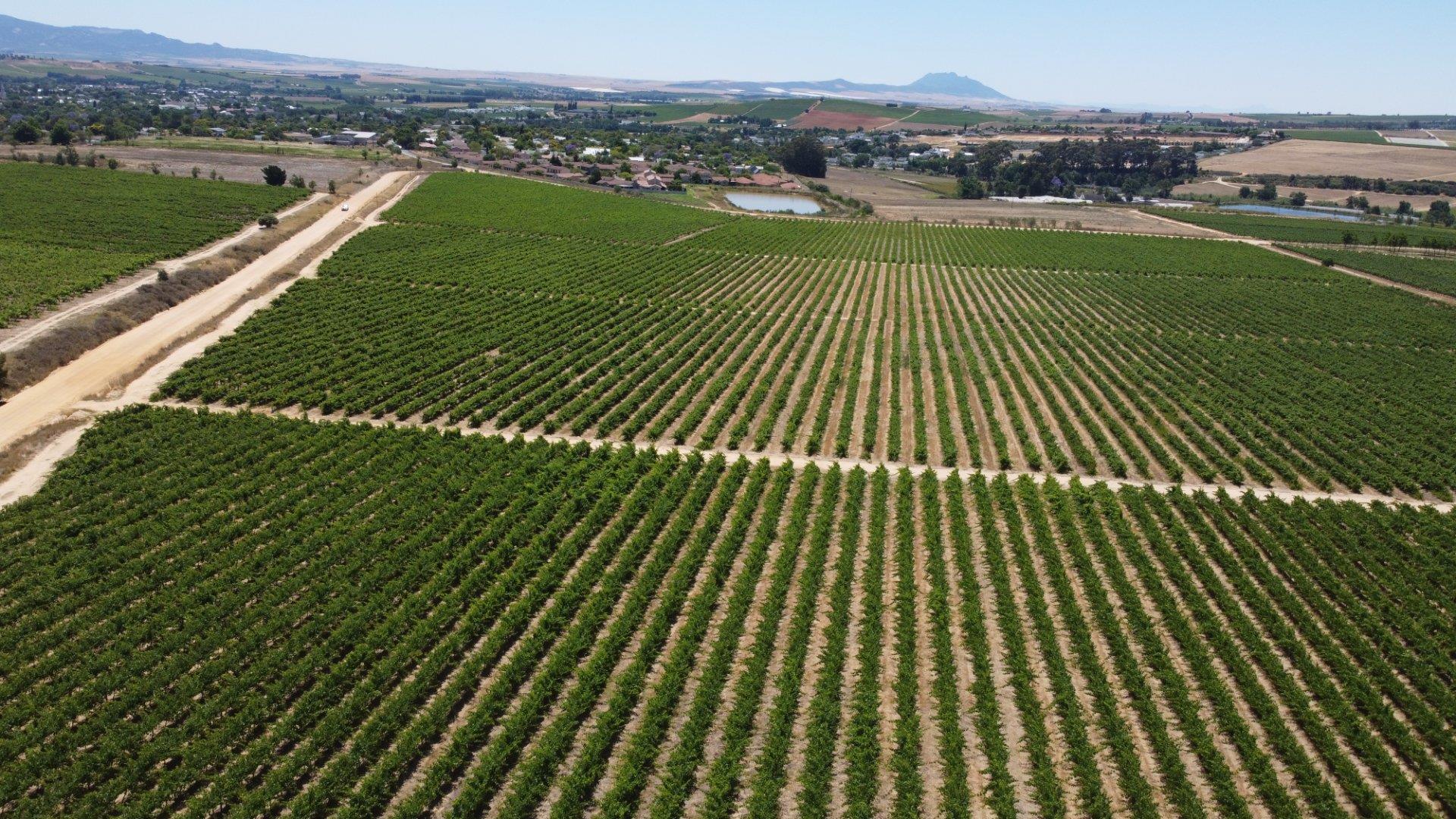 Wellington Rural Property Property and houses for sale in Wellington