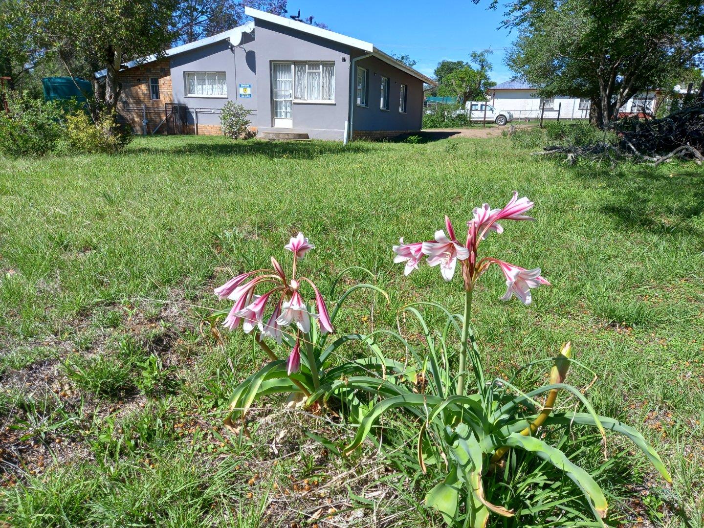 4 Bedroom House for sale in Bedford 19 Stockholm St P24111054961