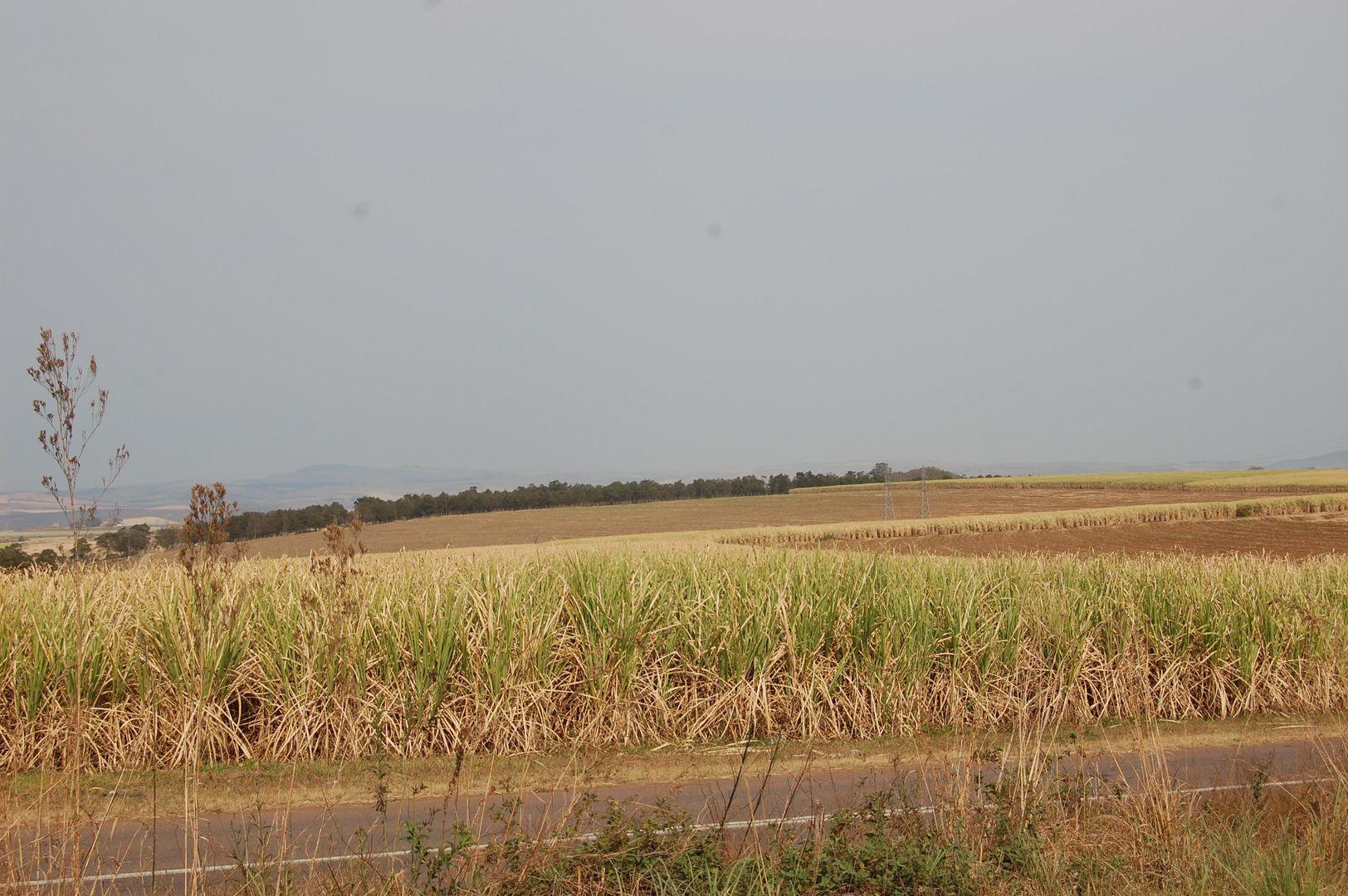 Camperdown Rural Property Vacant land / plots for sale in Camperdown