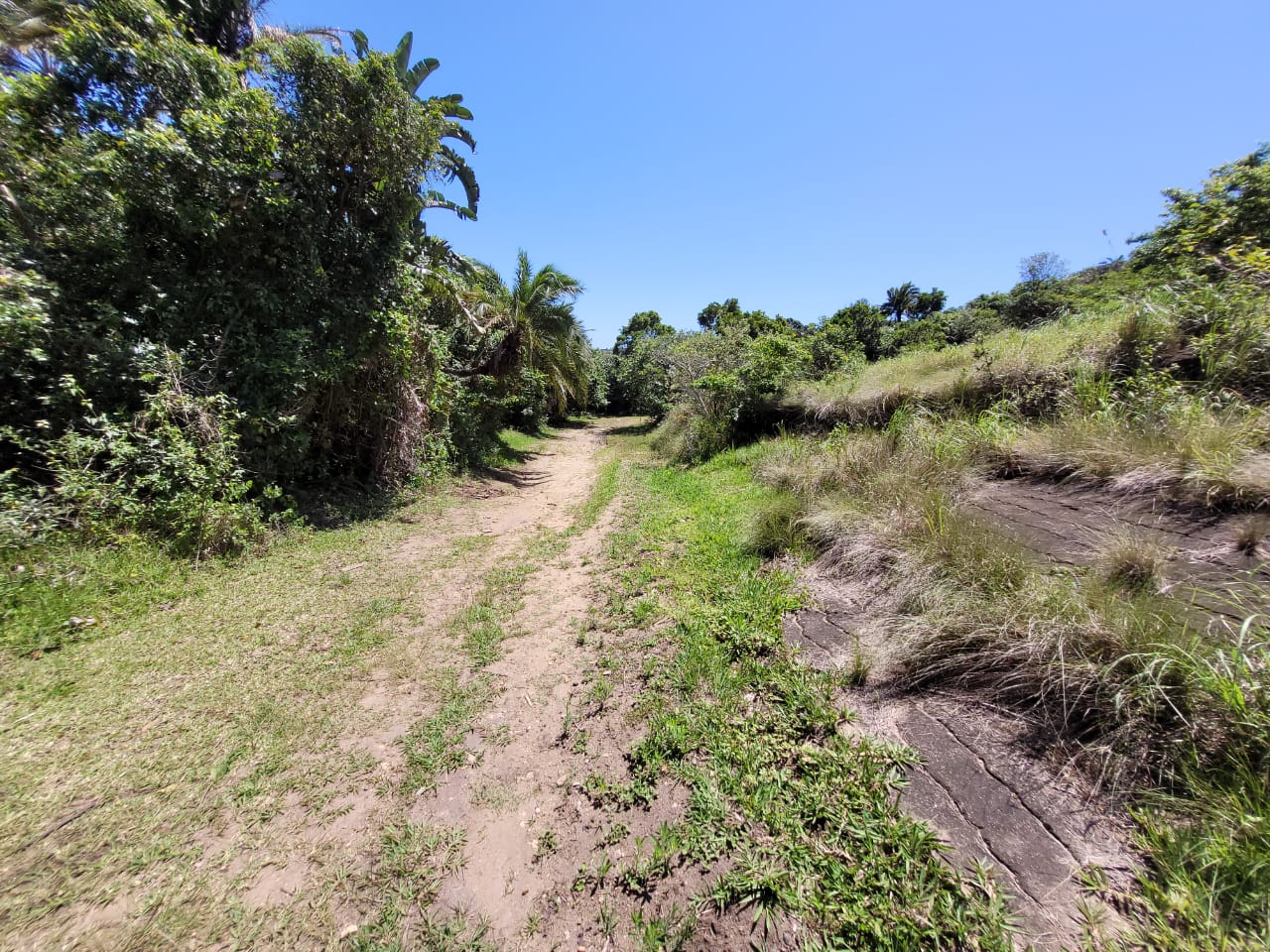 Vacant land / plot for sale in Catalina Bay P24112087547