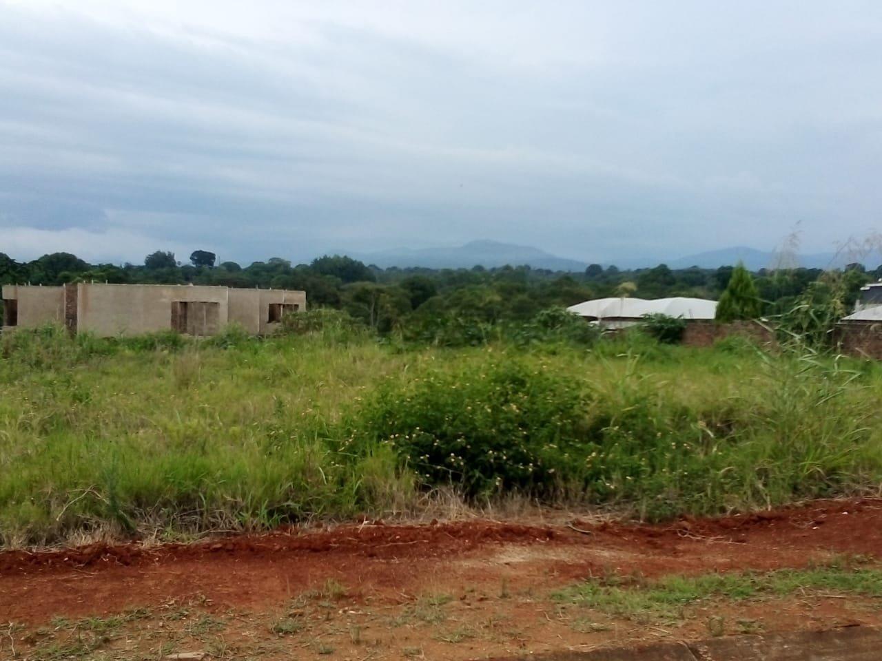 Riverside Estate, Tzaneen Property Property and houses for sale in