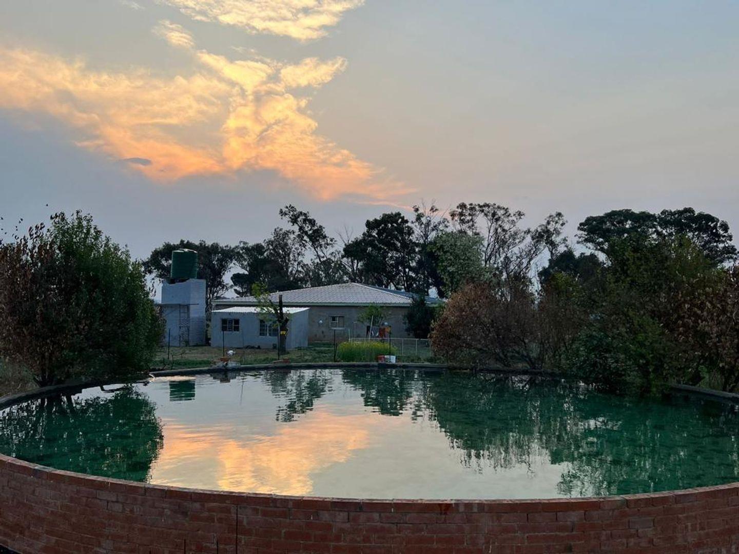 Mangaung Property Property and houses for sale in Mangaung