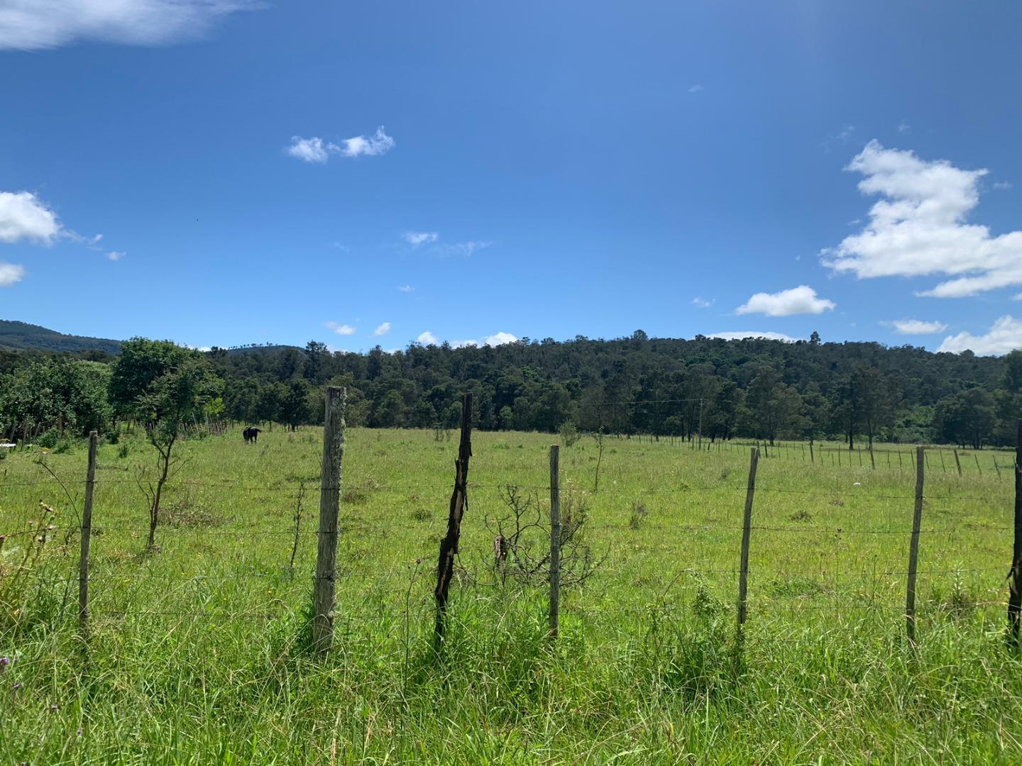 Vacant land / plot for sale in Stutterheim P24112141459