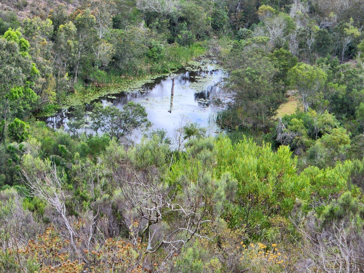 Farm for sale in Rocklands 42 Uitenhage Road P24112159469