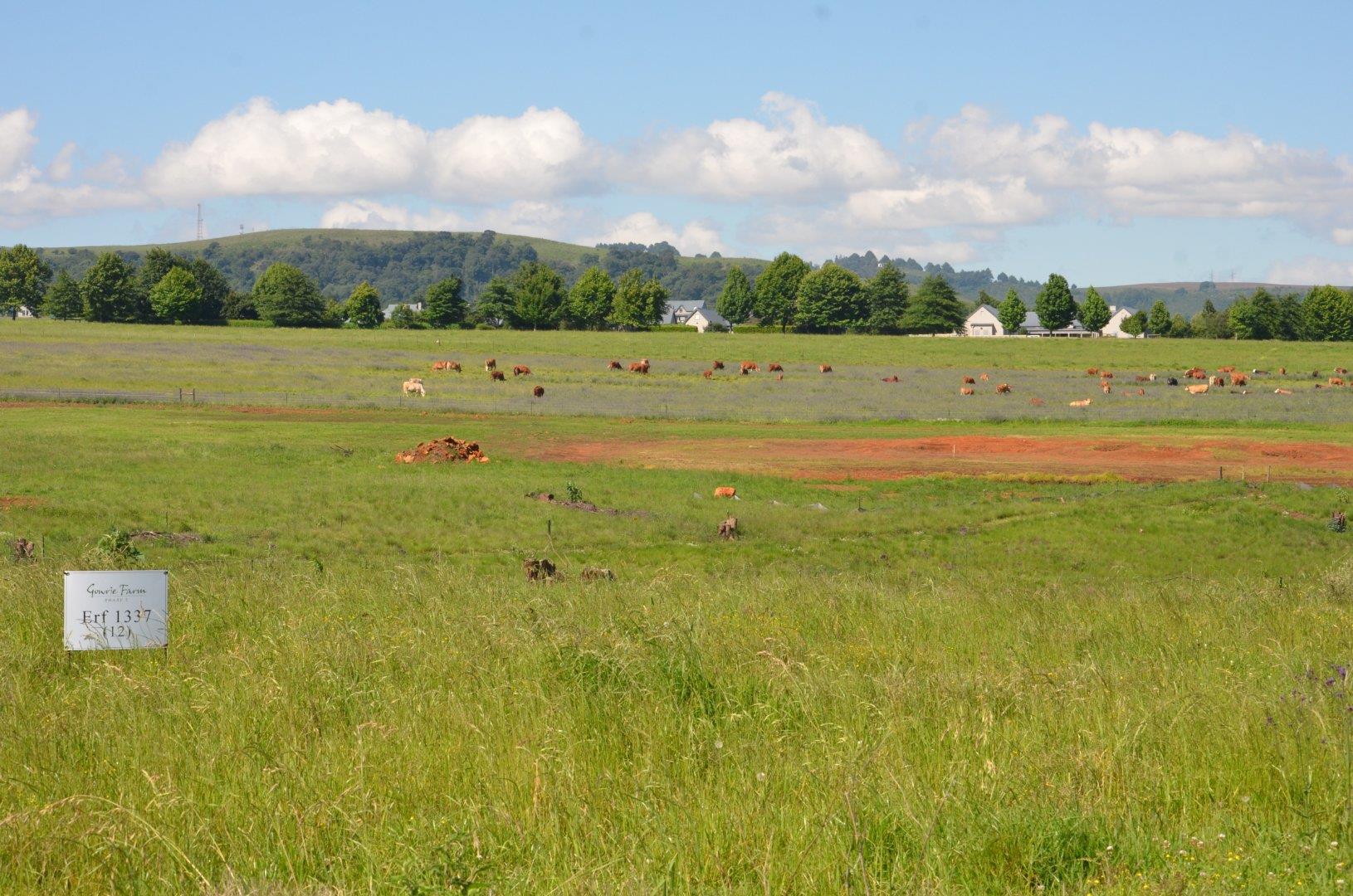 Gowrie Farm Golf Estate Property Property and houses for sale in