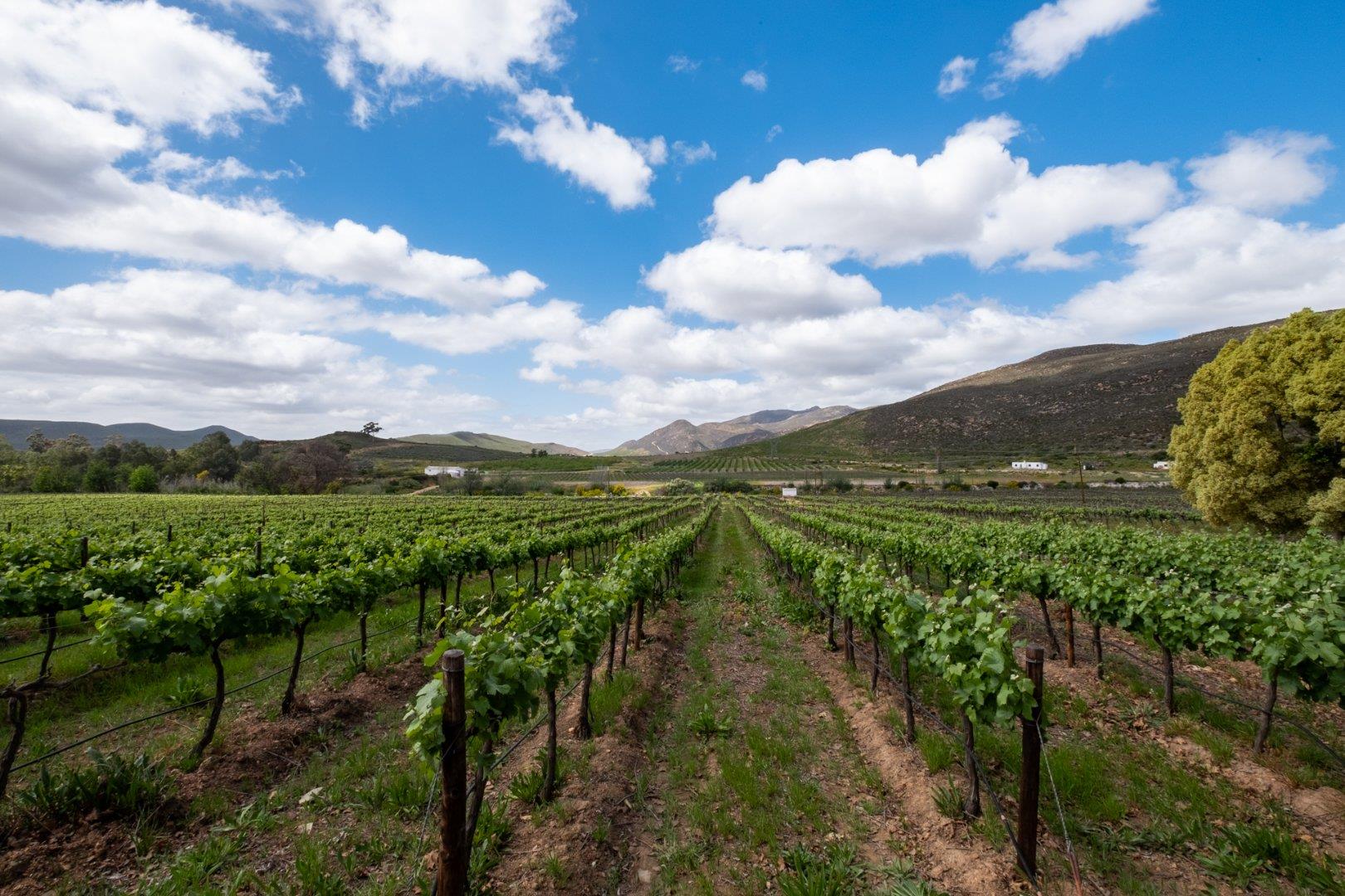 Farms for sale in Mcgregor Mcgregor Property