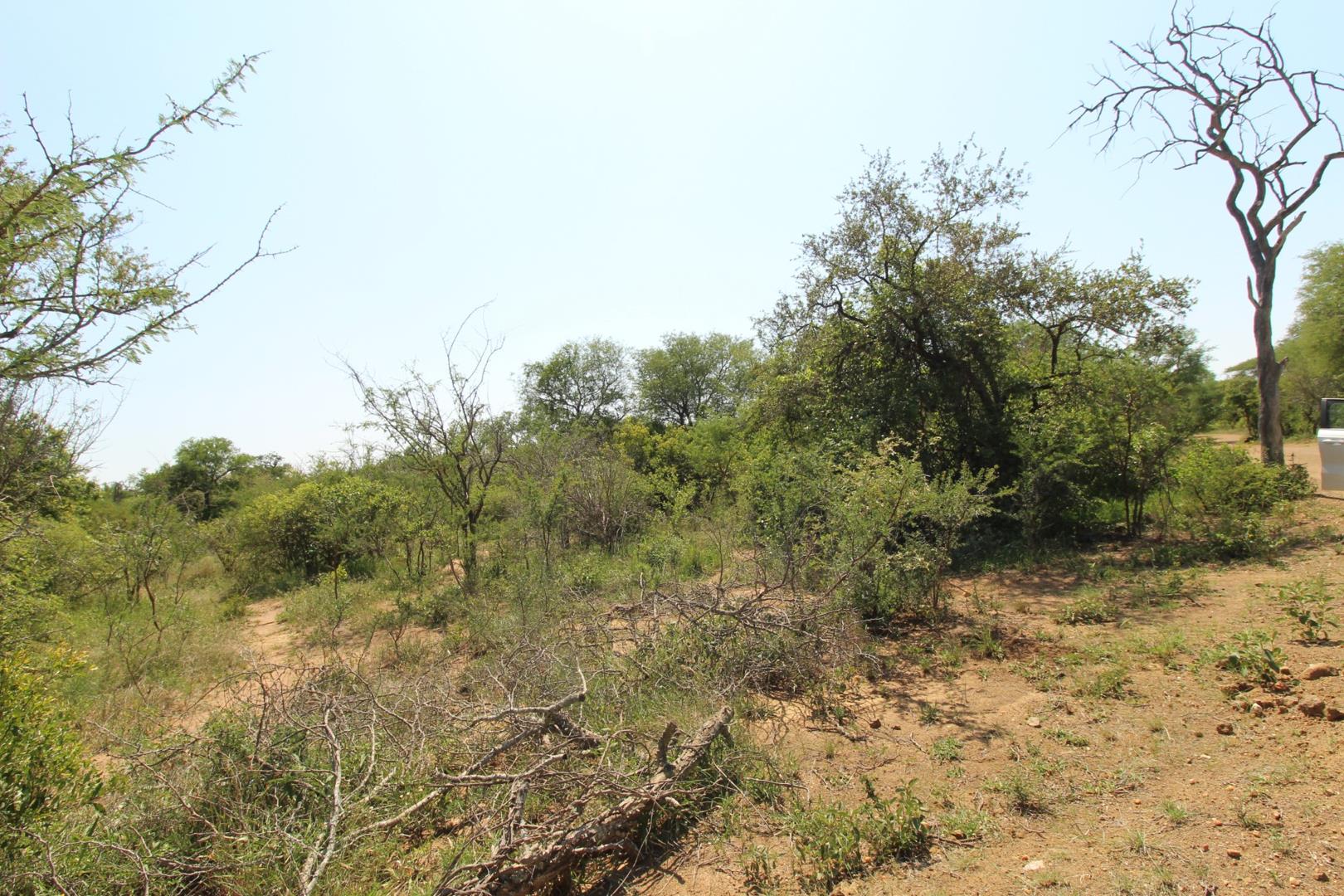 Moditlo Nature Reserve Property Property and houses for sale in