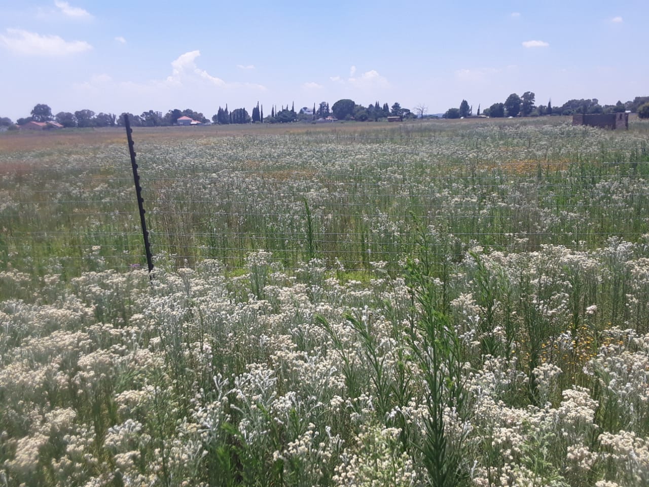 Homestead Apple Orchards Property Property and houses for sale in