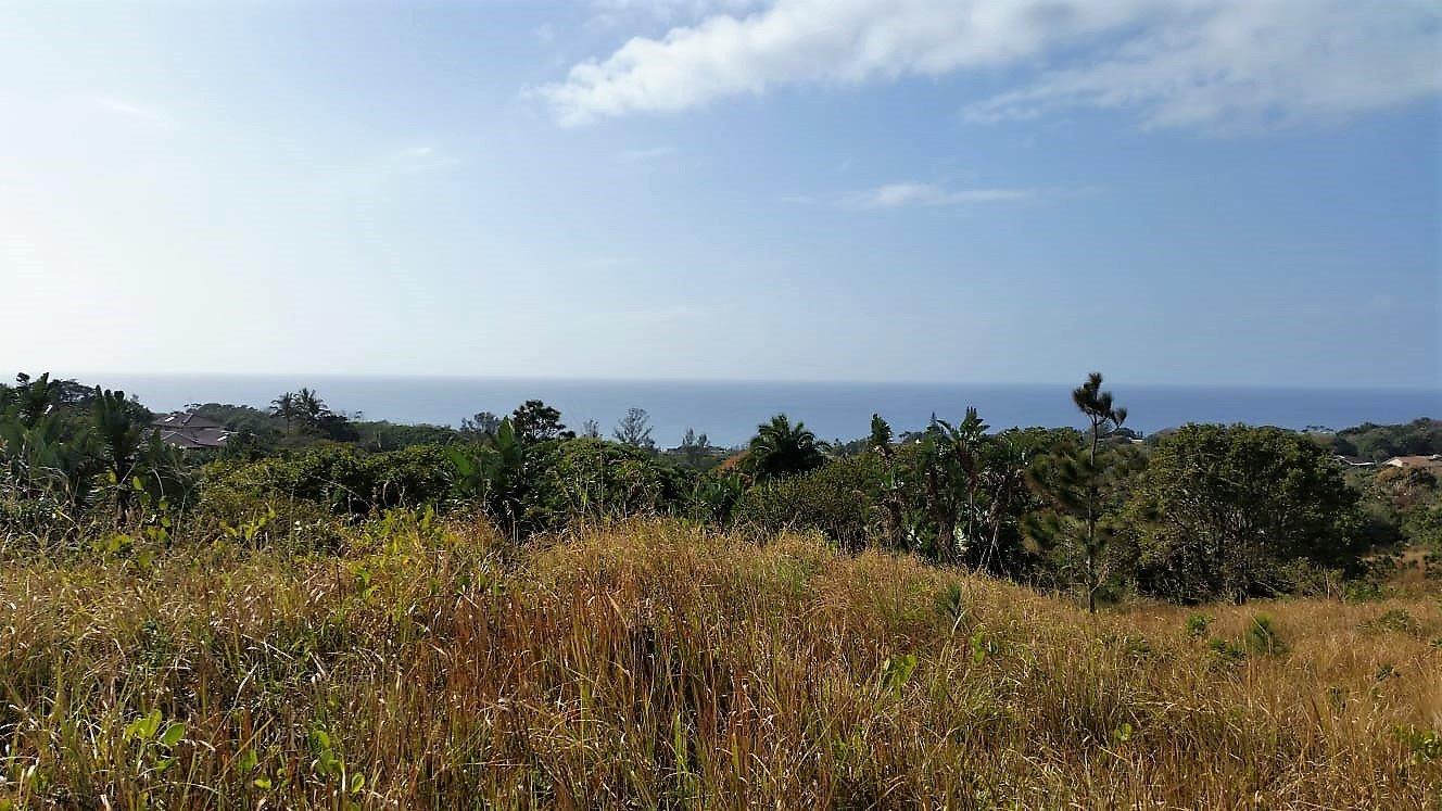 Vacant land / plot for sale in Ramsgate 2052 Lynne Street P24112182081