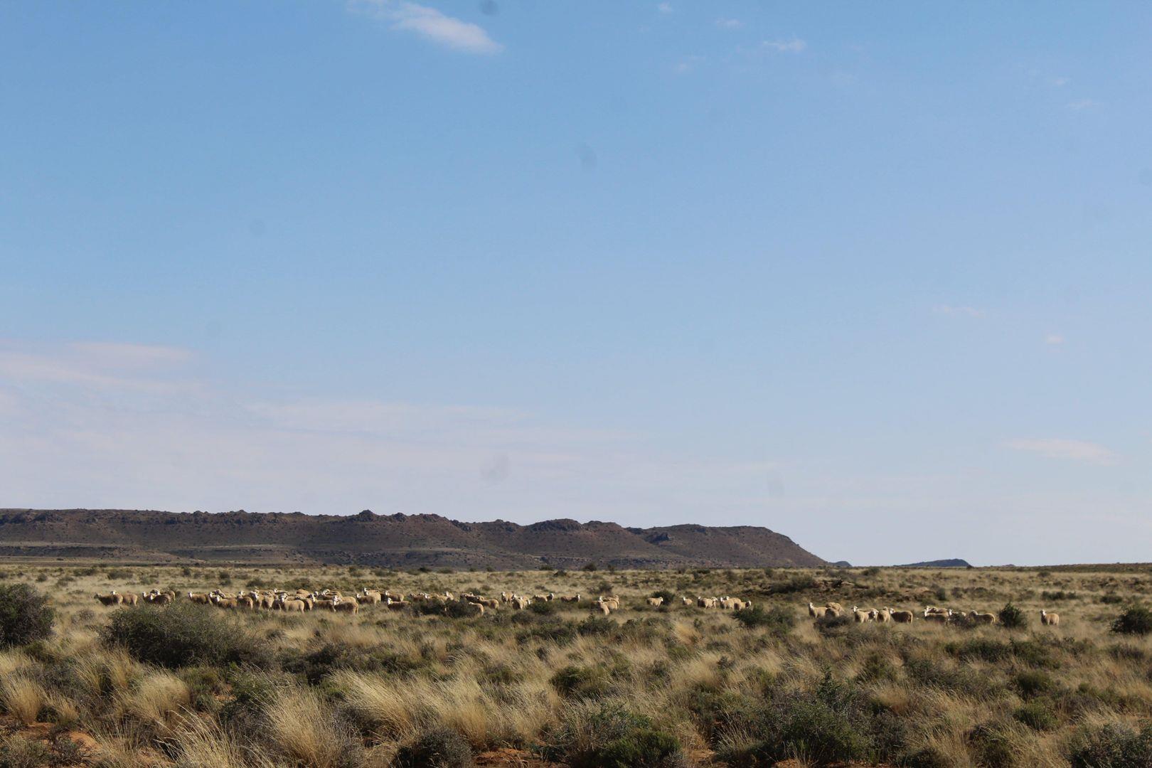 Farm for sale in Victoria West P24111510618