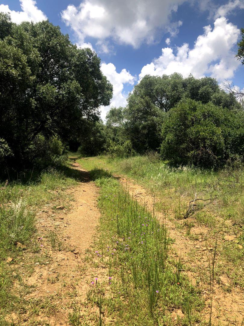 Vacant land / plot for sale in Broederstroom 481 Ptn 262 P24112183334