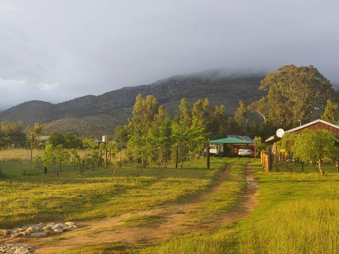 Farm for Sale in Joubertina