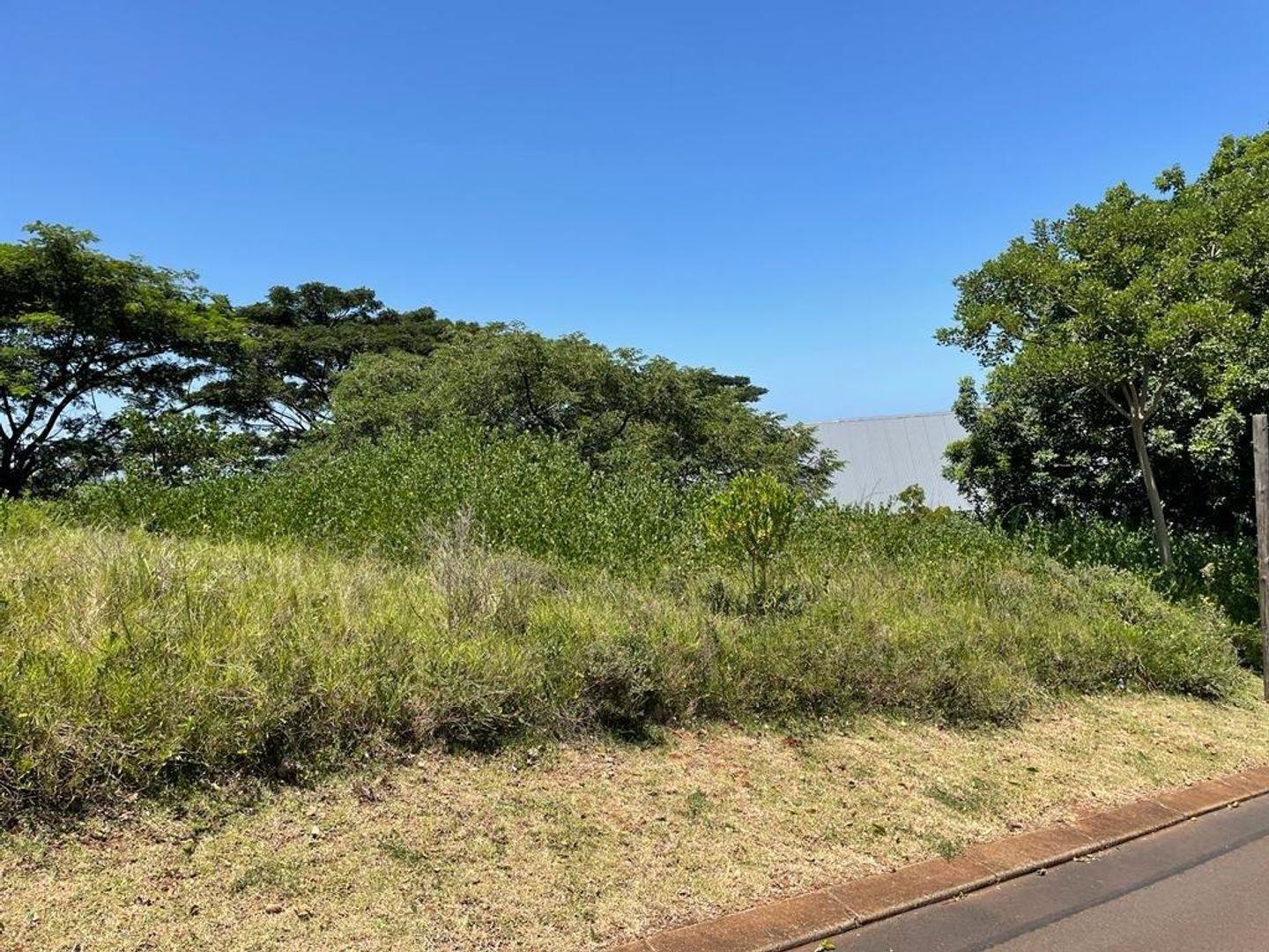 Vacant land / plot for sale in Zini River Estate P24112234147