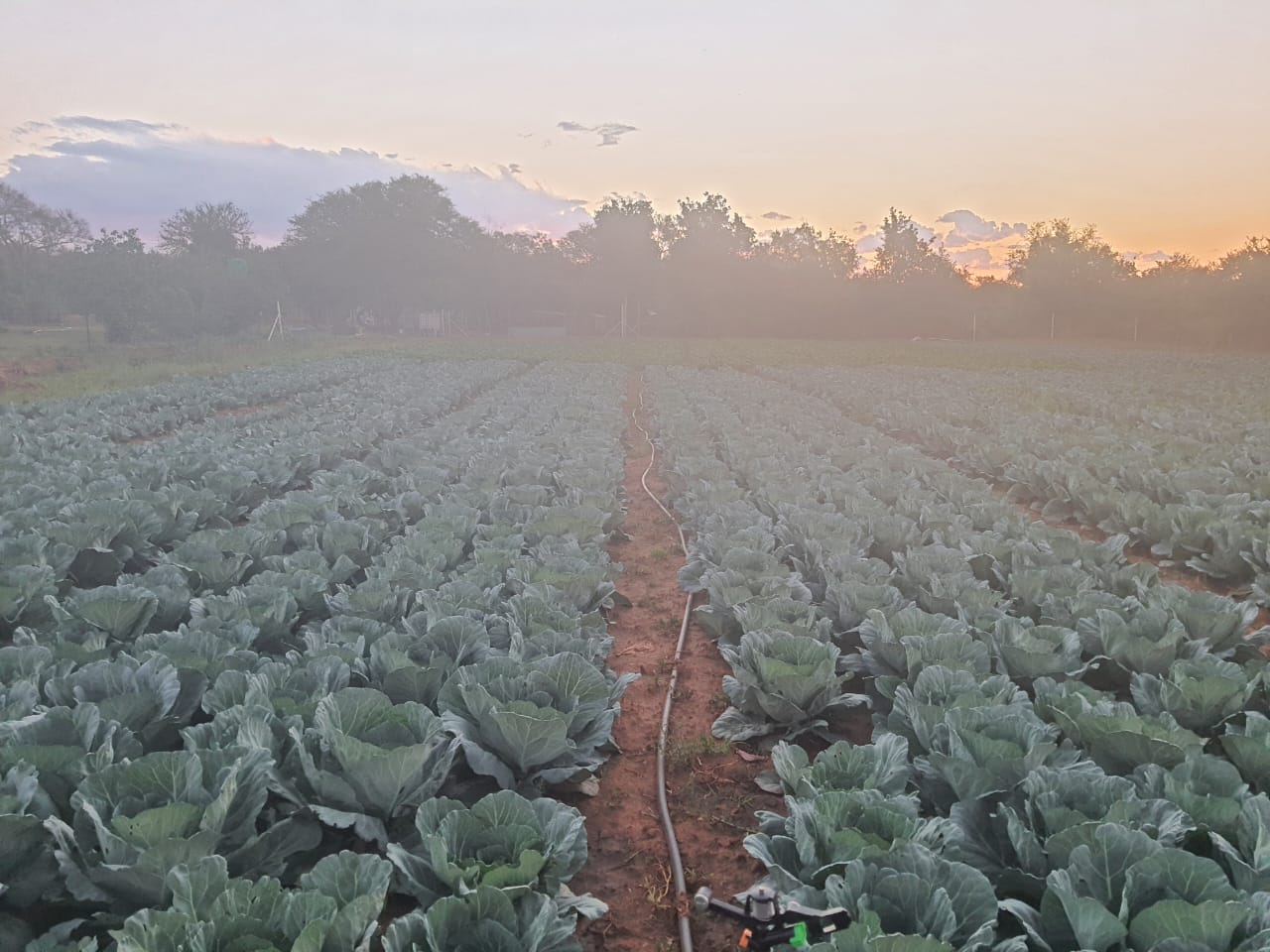 Farm for sale in Potchefstroom Rural P24112231737