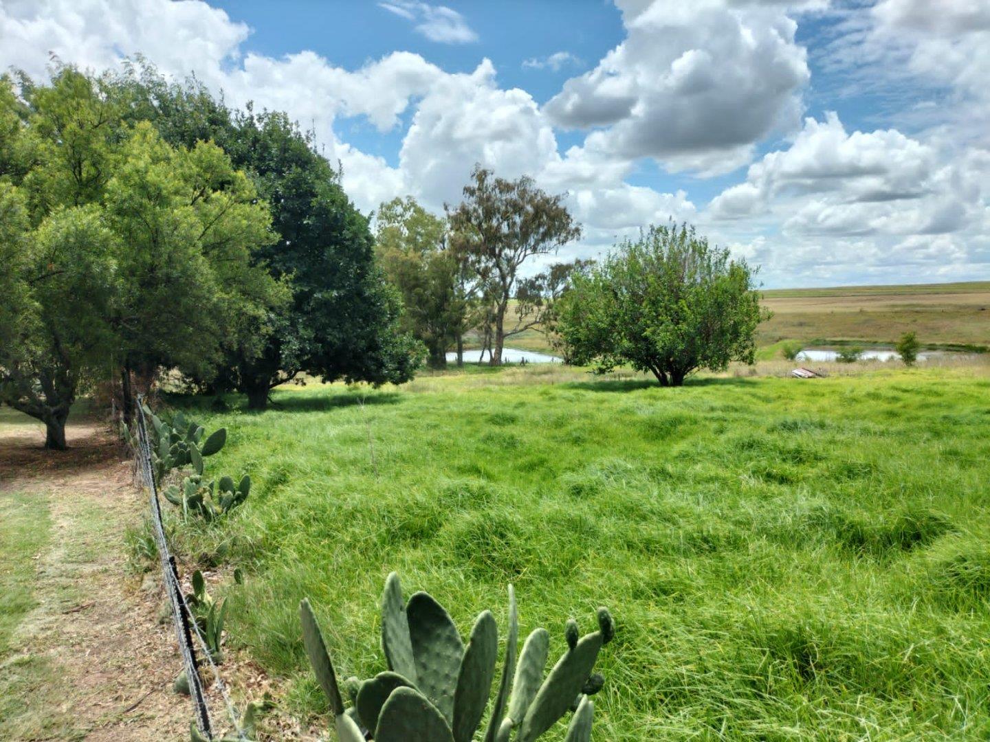 Farm for sale in Bethlehem Rural P24112250578