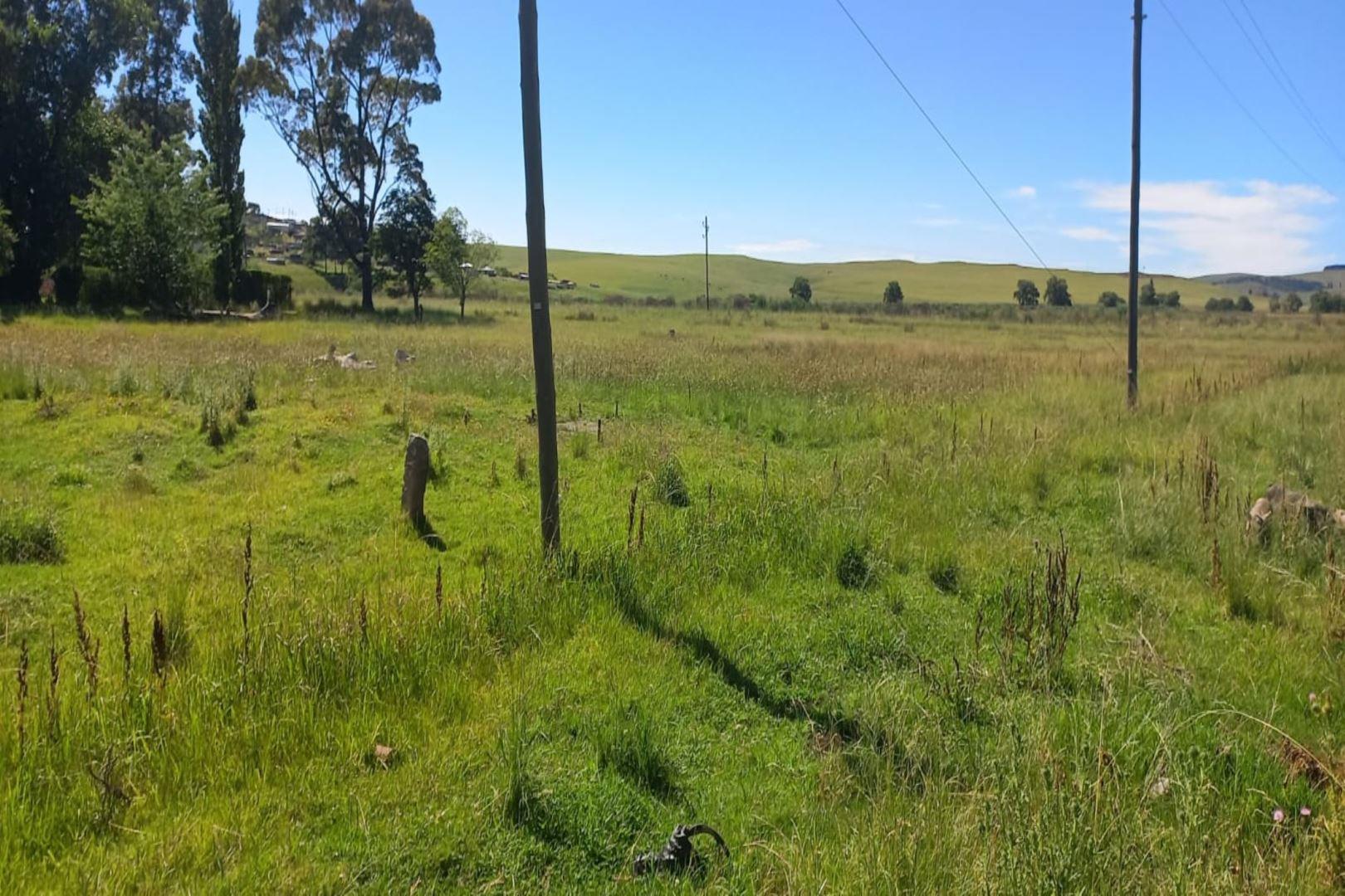 Property and houses for sale in Elliot Elliot Property