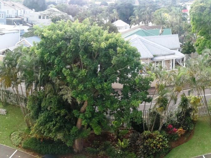 1 Bedroom Apartment / Flat for Sale in Windermere