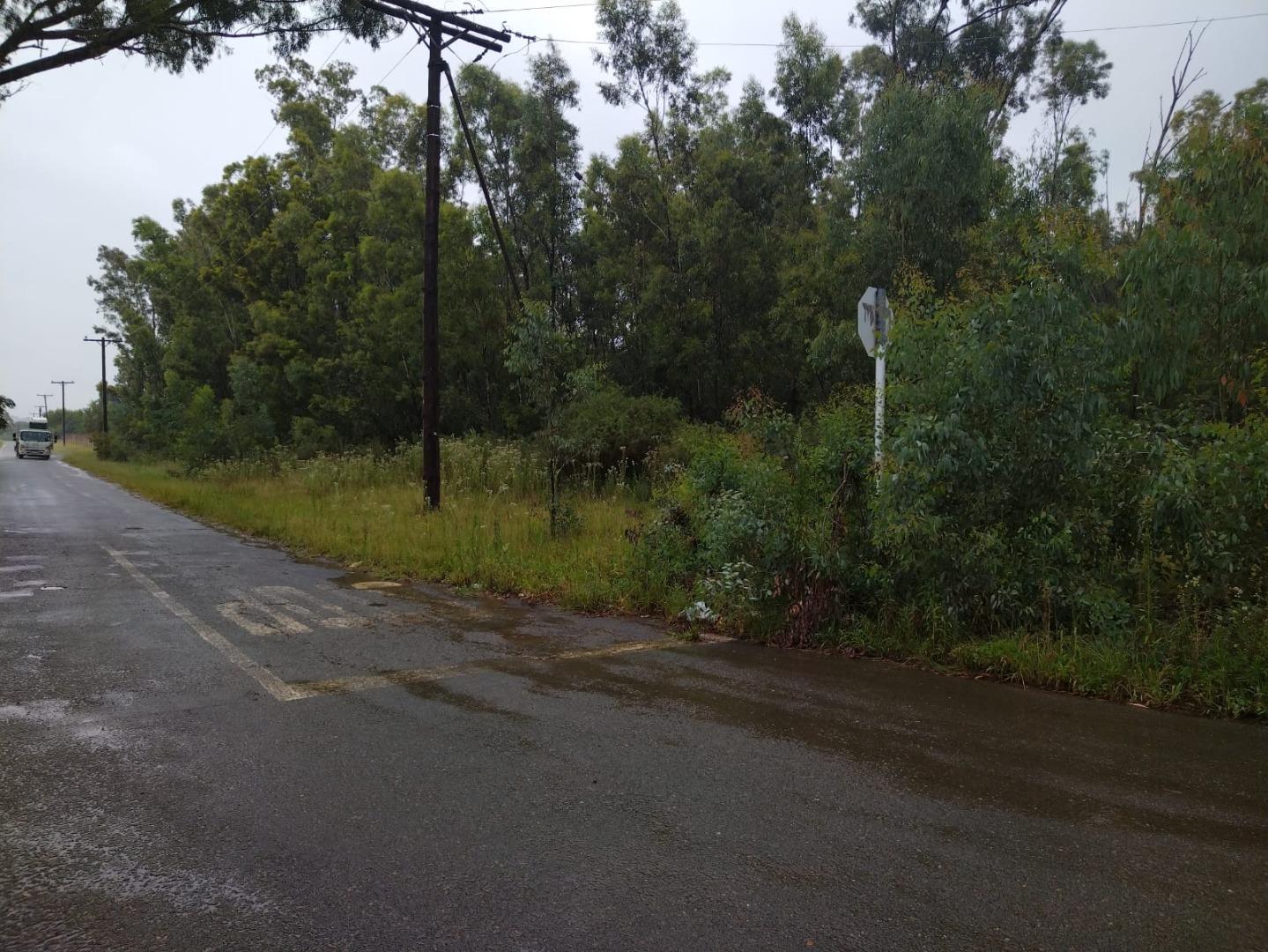 Vacant land / plots for sale in Walkerville Walkerville Property