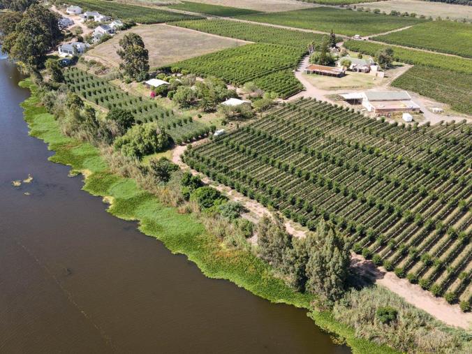 Farm for Sale in Swellendam Rural