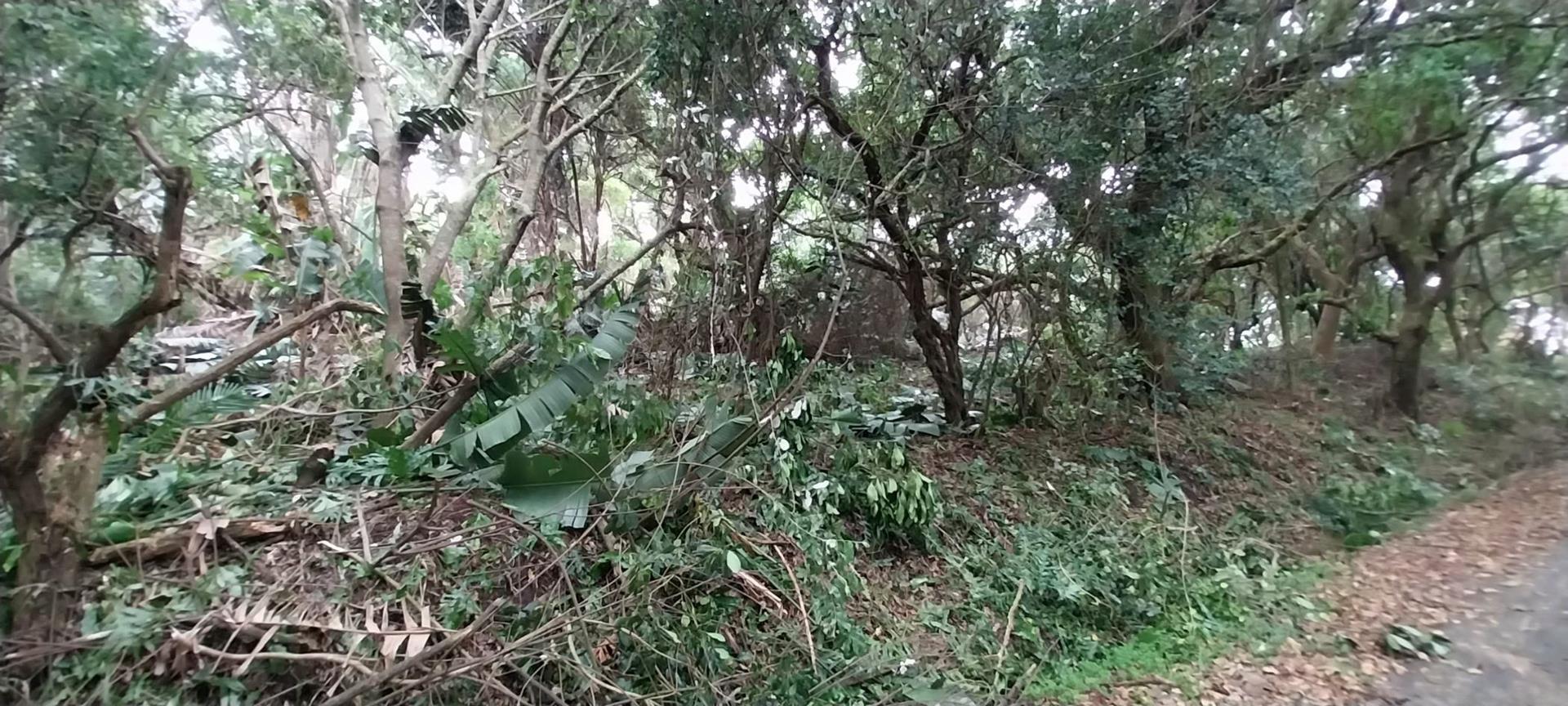 Bazley Beach Property Property and houses for sale in Bazley Beach