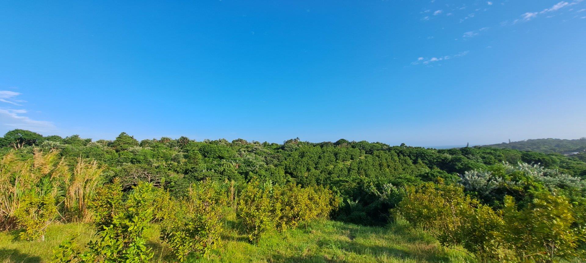 Farm for sale in Glenmore 10092 Umthamvuna, Portion 4 Highland Drive