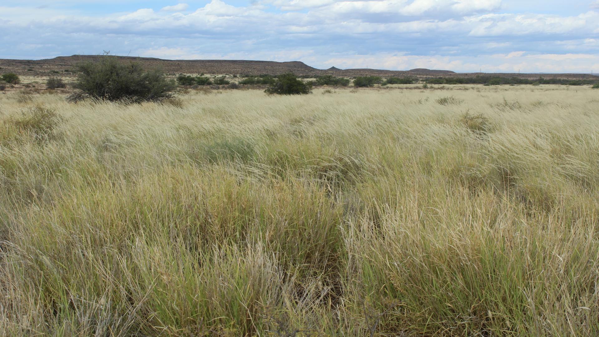 Farm for sale in Prince Albert Rural P24112334599